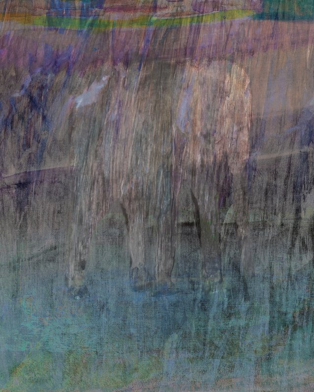 Alex Fischer, Elephant in the Rain, 2020-07-30